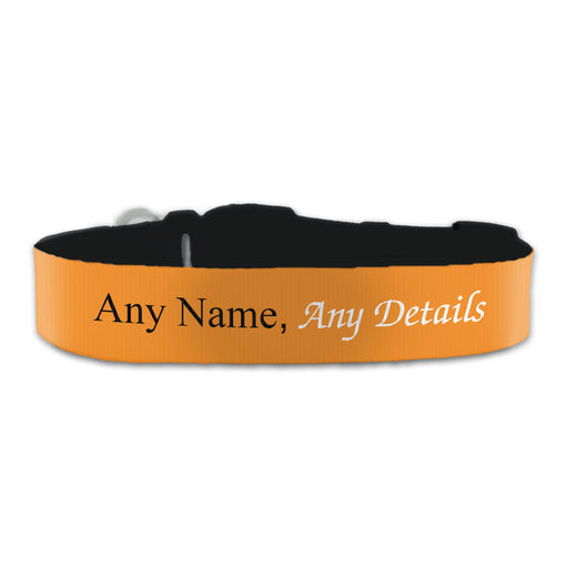 Personalised Large Dog Collar with Orange Background - The Gift Cabin UK