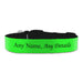 Personalised Large Dog Collar with Green Background - The Gift Cabin UK