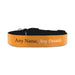 Personalised Small Dog Collar with Orange Background - The Gift Cabin UK