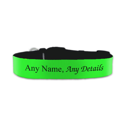 Personalised Small Dog Collar with Green Background - The Gift Cabin UK