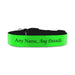 Personalised Small Dog Collar with Green Background - The Gift Cabin UK