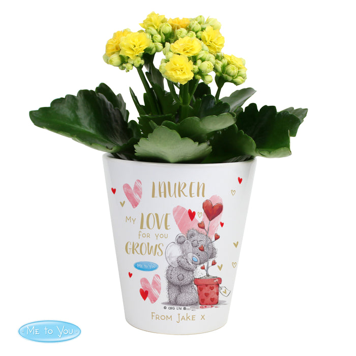 Personalised Me To You Love Grows Plant Pot - The Gift Cabin UK