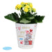 Personalised Me To You Love Grows Plant Pot - The Gift Cabin UK