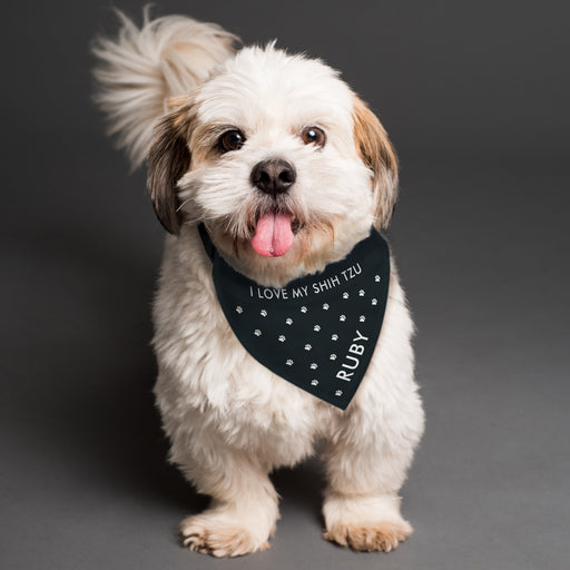 Personalised Paw Print Dog Bandana - The Gift Cabin UK