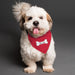 Personalised Red Polka Dot Dog Bandana - The Gift Cabin UK