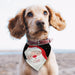 Personalised Santa Dog Bandana - The Gift Cabin UK