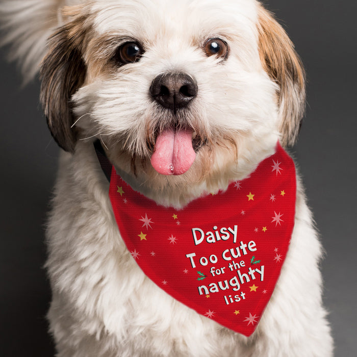 Personalised 'Too cute for the naughty list' Dog Bandana - The Gift Cabin UK