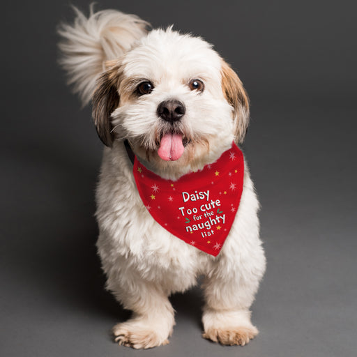 Personalised 'Too cute for the naughty list' Dog Bandana - The Gift Cabin UK