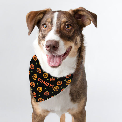 Personalised Pumpkin Patch Dog Bandana - The Gift Cabin UK