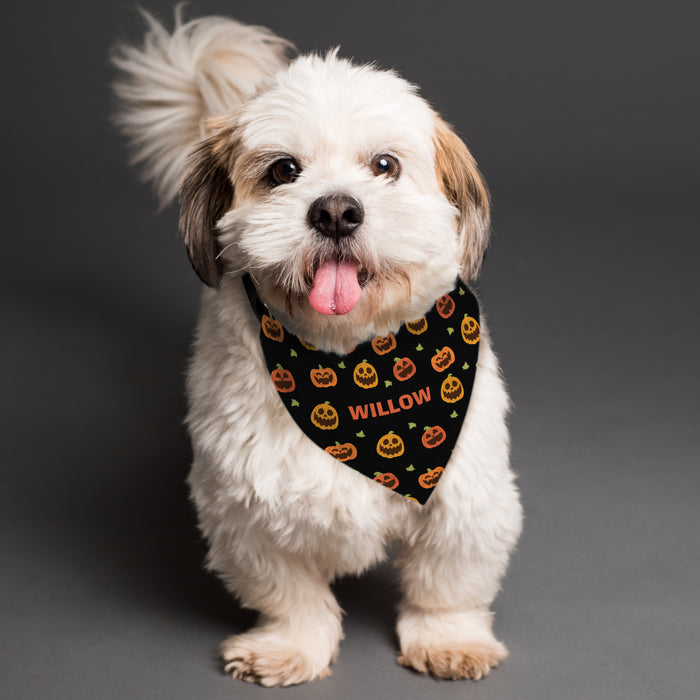 Personalised Pumpkin Patch Dog Bandana - The Gift Cabin UK