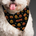 Personalised Pumpkin Patch Dog Bandana - The Gift Cabin UK