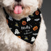 Personalised Halloween Dog Bandana - The Gift Cabin UK