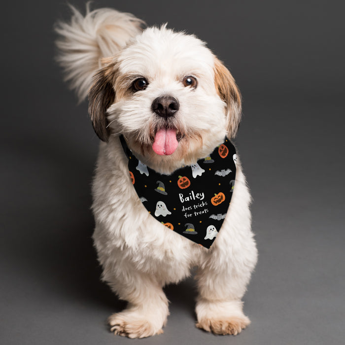 Personalised Halloween Dog Bandana - The Gift Cabin UK