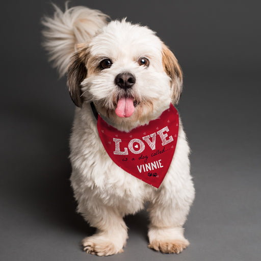 Personalised Love is... Dog Bandana - The Gift Cabin UK