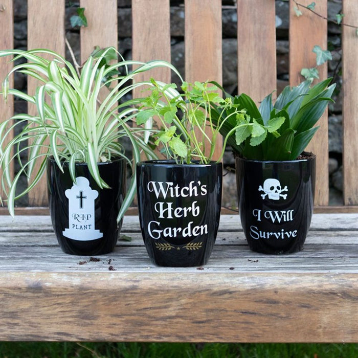 Witch's Herb Garden Plant Pot - The Gift Cabin UK