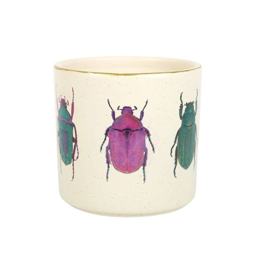 Off White Beetle Plant Pot - The Gift Cabin UK