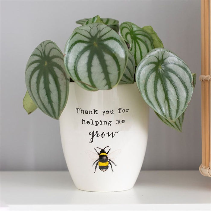 Thank You For Helping Me Grow Ceramic Plant Pot - The Gift Cabin UK