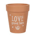 Love Grows Here Terracotta Plant Pot - The Gift Cabin UK