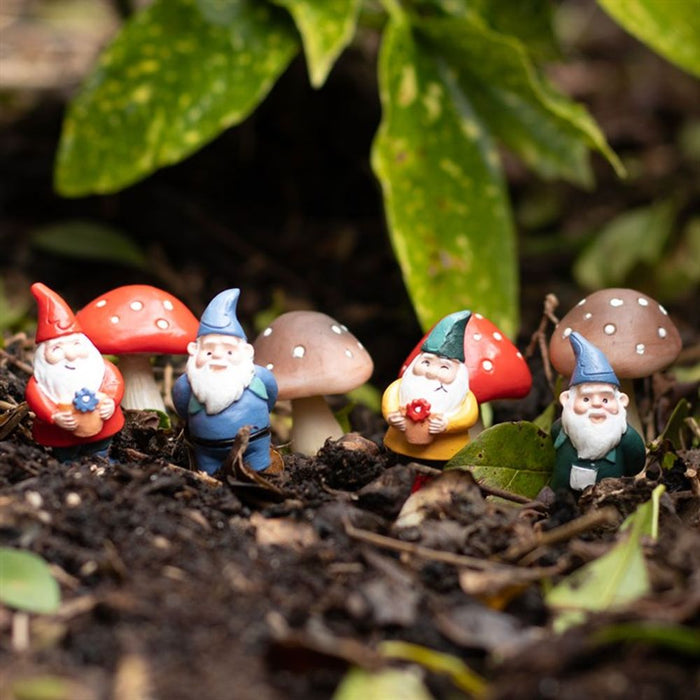 Set of 4 Mini Gnome Plant Pot Pals - The Gift Cabin UK