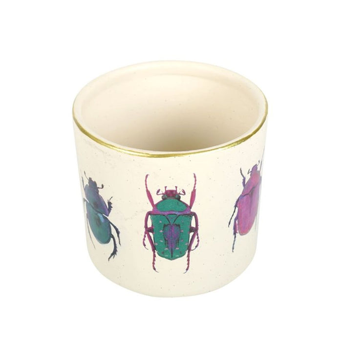 Off White Beetle Plant Pot - The Gift Cabin UK