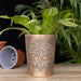 Tree of Life Bronze Terracotta Plant Pot by Lisa Parker - The Gift Cabin UK