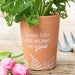 Thank You For Helping Me Grow Terracotta Plant Pot - The Gift Cabin UK