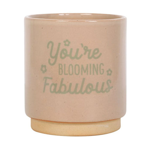 Cream Speckle Blooming Fabulous Plant Pot - The Gift Cabin UK