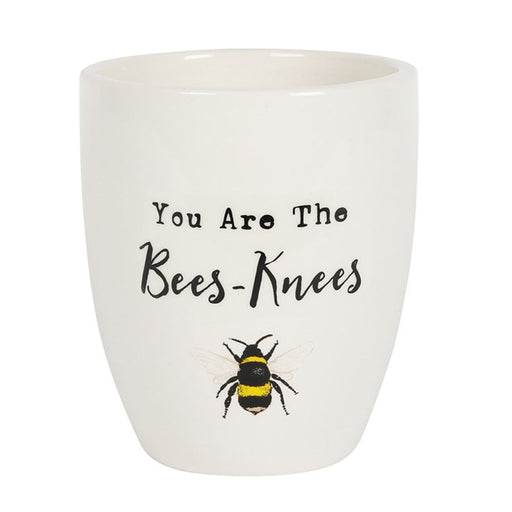 You Are the Bees Knees Ceramic Plant Pot - The Gift Cabin UK