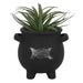 Triple Moon Cauldron Terracotta Plant Pot - The Gift Cabin UK