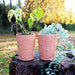 16cm Green Man Terracotta Plant Pot - The Gift Cabin UK