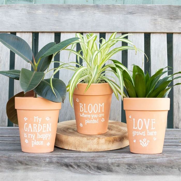 Bloom Where You Are Planted Terracotta Plant Pot - The Gift Cabin UK