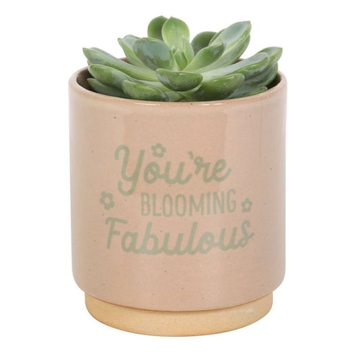 Cream Speckle Blooming Fabulous Plant Pot - The Gift Cabin UK