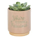 Cream Speckle Blooming Fabulous Plant Pot - The Gift Cabin UK