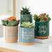 Cream Speckle Blooming Fabulous Plant Pot - The Gift Cabin UK