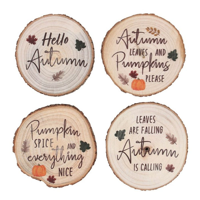 Hello Autumn Wood Slice Coaster Set - The Gift Cabin UK