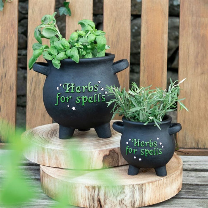 Small Herbs For Spells Cauldron Plant Pot - The Gift Cabin UK