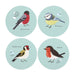 British Garden Birds Coaster Set - The Gift Cabin UK