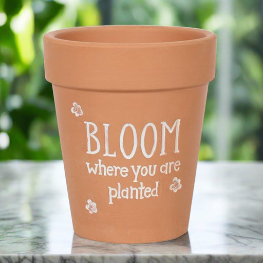 Bloom Where You Are Planted Terracotta Plant Pot - The Gift Cabin UK