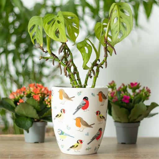 British Garden Birds Ceramic Plant Pot - The Gift Cabin UK