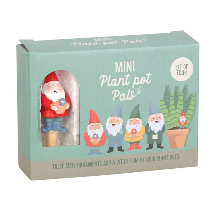 Set of 4 Mini Gnome Plant Pot Pals - The Gift Cabin UK