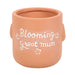 Blooming Great Mum Sitting Plant Pot Pal - The Gift Cabin UK