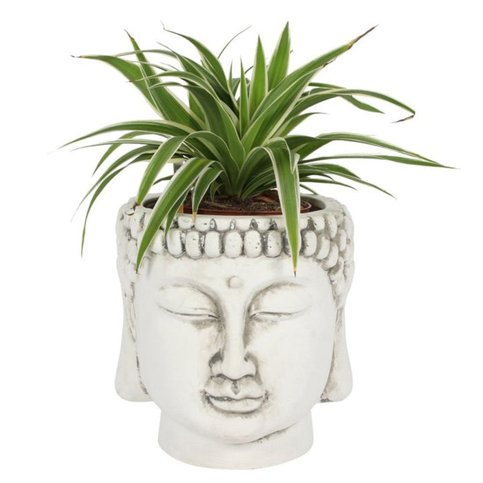 White Terracotta Buddha Head Planter - The Gift Cabin UK