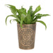 Triple Moon Bronze Terracotta Plant Pot by Lisa Parker - The Gift Cabin UK