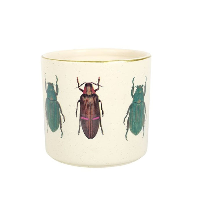 Off White Beetle Plant Pot - The Gift Cabin UK