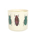 Off White Beetle Plant Pot - The Gift Cabin UK