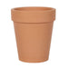 Bloom Where You Are Planted Terracotta Plant Pot - The Gift Cabin UK