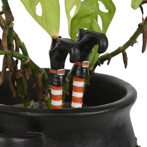 Set of 2 Witch Leg Plant Pot Ornaments - The Gift Cabin UK