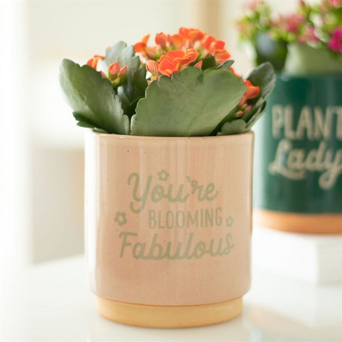 Cream Speckle Blooming Fabulous Plant Pot - The Gift Cabin UK