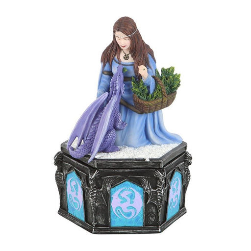 Dragon Friendship Winter Box by Anne Stokes - The Gift Cabin UK