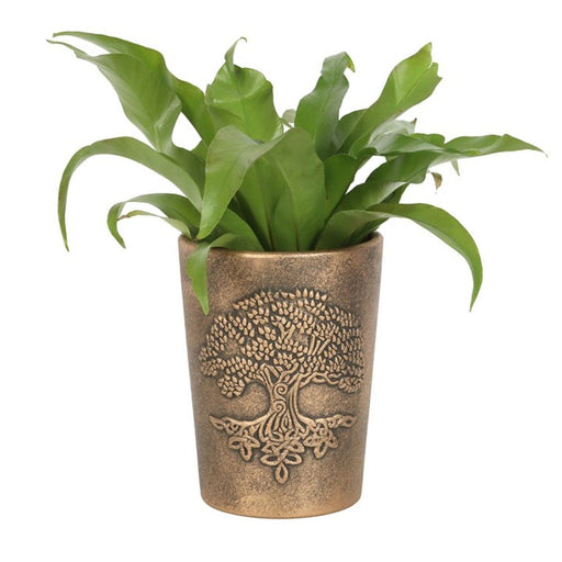 Tree of Life Bronze Terracotta Plant Pot by Lisa Parker - The Gift Cabin UK